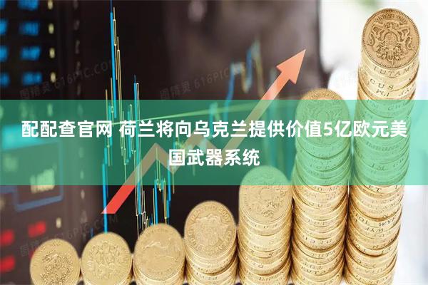 配配查官网 荷兰将向乌克兰提供价值5亿欧元美国武器系统
